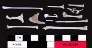 Animal artefact recovered from Beacon Island Land Site
