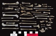 Animal artefact recovered from Beacon Island Land Site