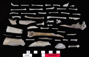 Animal artefact recovered from Beacon Island Land Site
