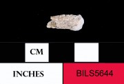 Human artefact recovered from Beacon Island Land Site