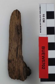 Ship's timber artefact recovered from Bunbury Excavation West