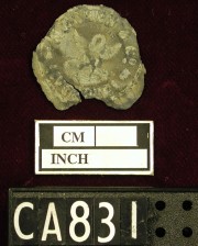 Glass artefact recovered from Carlisle Castle