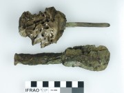 TIMBER artefact recovered from Cervantes