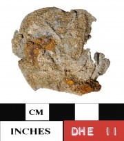 Lead artefact recovered from Dirk Hartog Excavation
