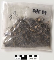 Tin artefact recovered from Dirk Hartog Excavation