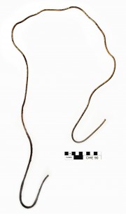 Copper/brass artefact recovered from Dirk Hartog Excavation