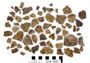 Tin artefact recovered from Dirk Hartog Excavation