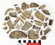 Tin artefact recovered from Dirk Hartog Excavation