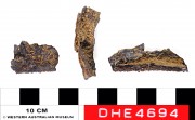 Tin artefact recovered from Dirk Hartog Excavation