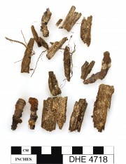 General artefact recovered from Dirk Hartog Excavation