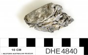 Lead artefact recovered from Dirk Hartog Excavation