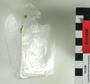 Glass artefact recovered from Eglinton