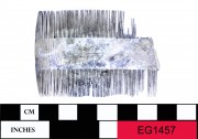 Animal artefact recovered from Eglinton