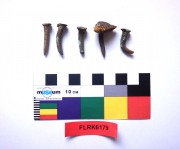 Copper/brass artefact recovered from Flat Rock Unid