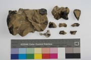 Pitch/tar/oil artefact recovered from Vergulde Draeck (Gilt Dragon)