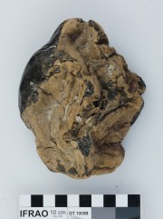 Pitch/tar/oil artefact recovered from Vergulde Draeck (Gilt Dragon)