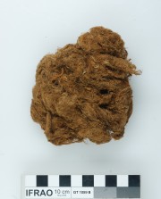 Rope/leather/etc. artefact recovered from Vergulde Draeck (Gilt Dragon)