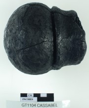 Armament artefact recovered from Vergulde Draeck (Gilt Dragon)