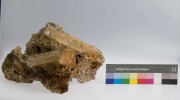 Bricks artefact recovered from Vergulde Draeck (Gilt Dragon)
