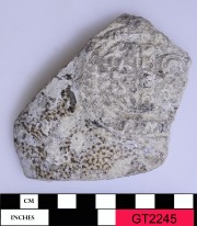 Stoneware artefact recovered from Vergulde Draeck (Gilt Dragon)