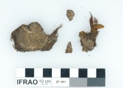 Rope/leather/etc. artefact recovered from Vergulde Draeck (Gilt Dragon)