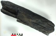 Ship's timber artefact recovered from Vergulde Draeck (Gilt Dragon)