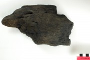 Ship's timber artefact recovered from Vergulde Draeck (Gilt Dragon)