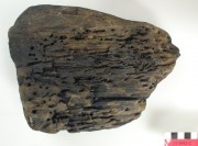 Ship's timber artefact recovered from Vergulde Draeck (Gilt Dragon)
