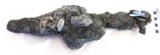 Concretions artefact recovered from Samuel Wright