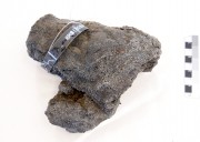 Concretions artefact recovered from Samuel Wright