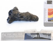 Concretions artefact recovered from Samuel Wright