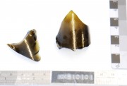 Glass artefact recovered from Samuel Wright