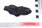 Ship's timber artefact recovered from Samuel Wright