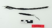 FERROUS artefact recovered from Long Jetty site, Fremantle