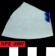 Porcelain artefact recovered from Notch Point East