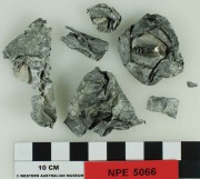 Tinfoil artefact recovered from Notch Point East