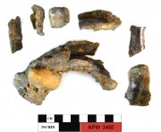 Ship's fittings artefact recovered from Notch Point 