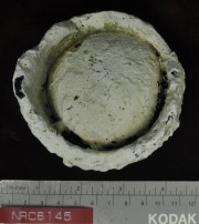 Glass artefact recovered from Correio da Azia