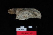 TIMBER artefact recovered from Pelsaert Island