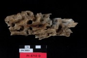 TIMBER artefact recovered from Pelsaert Island