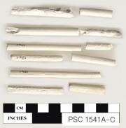 Clay pipes artefact recovered from Perseverant Camp 1841