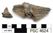 Miscellaneous artefact recovered from Perseverant Camp 1841