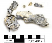 Lead artefact recovered from Perseverant Camp 1841