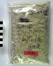 General artefact recovered from Perseverant Camp 1841