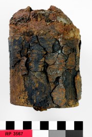 Armament artefact recovered from Rapid