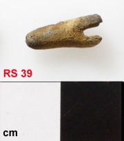 Copper/brass artefact recovered from Lively Rowley Shoals