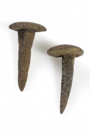 Bronze artefact recovered from Lively Rowley Shoals