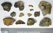 Concretions artefact recovered from Lively Rowley Shoals