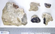 Concretions artefact recovered from Lively Rowley Shoals