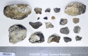 Concretions artefact recovered from Lively Rowley Shoals